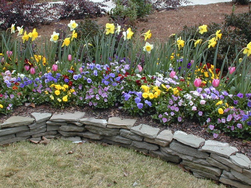 Low dry stack thin stone wall border annual bed